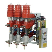 Interruptor de Carga de Aire Tipo Motor FKRN12-12 con Fusible de 10kV para Equipos de Conexión