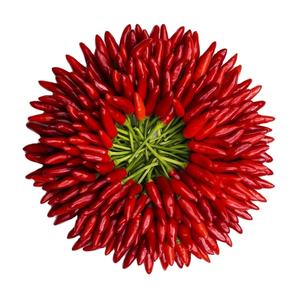 Gros Piment Piment Rouge Congelé - Product Image 1