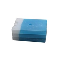 15x10x2cm, 200g, petit refroidisseur de déjeuner réutilisable, brique de glace, boîte à glace pour enfants