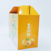 Ecologisch verantwoorde papieren doos van golfkarton, recyclebaar, biologisch afbreekbaar, met handvat voor vers fruit, groenten, mango, sinaasappel verpakking