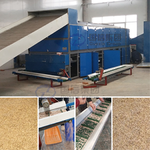 Secador de castañas de malla continua OEM, equipo de procesamiento de frutos secos de alta capacidad, secador de castañas - Product Image 4