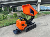 ANTSPOWER 2026 Livraison Rapide 600KG Mini-Dumper Diesel Hydraulique Sensible à la Puissance, Vente Chaude, Mini-Dumper Chinois Économique