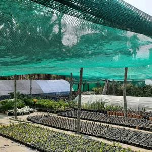 <span class=keywords><strong>Filet</strong></span> pare-soleil de jardin en plastique de protection UV 50gsm <span class=keywords><strong>Filet</strong></span> d'<span class=keywords><strong>ombrage</strong></span> pour serre verte Agro - Product Image 1