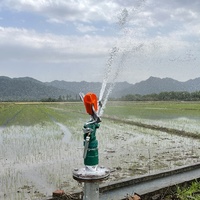 Arroseur à canon économique 40py à entraînement par engrenages 360° pour l'irrigation agricole