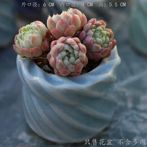 Nouveaux pots en céramique effet glace craquelée pour plantes succulentes, mini-contenants minimalistes, respirants, frais et mignons pour les plantes vertes et les <span class=keywords><strong>lithops</strong></span> - Product Image 4