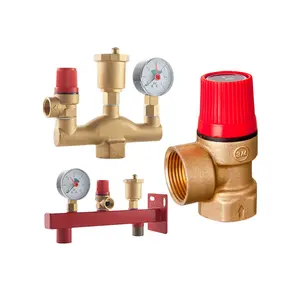 Boiler Pressure 1 inch Gas Water Relief Safety Valve Group With Automatic Shut-off Valve Blowdown