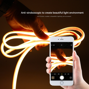 110V/<span class=keywords><strong>220V</strong></span> 개암 나무 줄기 <span class=keywords><strong>LED</strong></span> 스트립 6000K 따뜻한 흰색 50m/100m 원격 제어 IP65 USB RGB PVC 장식 조명 <span class=keywords><strong>220V</strong></span> 드라이버 필요 없음 5m