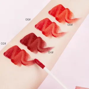 Wholesale 5 Colors Velvet Girls Unique Clear Vegan Matte Lip Gloss Set