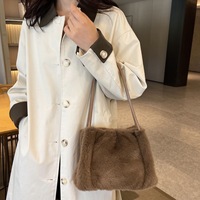Nouveau Sac Seau en Fausse Fourrure 2026 pour Femme, Style Coréen Automne Hiver, Sac à Main de Luxe Texturé Unique de Créateur pour le Quotidien