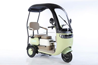 Tricycle électrique à trois roues 800w personnalisé moto pour adultes corps ouvert 60v tension acier EEC/DOT passager