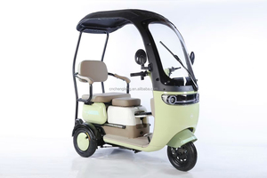 <span class=keywords><strong>Tricycle</strong></span> électrique à trois roues 800w personnalisé <span class=keywords><strong>moto</strong></span> pour adultes corps ouvert 60v tension acier EEC/DOT passager - Product Image 4