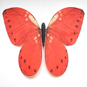JIN PENG <span class=keywords><strong>Drone</strong></span> papillon RGB lumineux télécommandé, effet d'<span class=keywords><strong>insecte</strong></span> flottant, en stock pour la location événementielle - Product Image 3