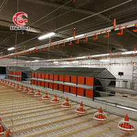 Abreuvoir automatique pour poulets de chair/équipement de ligne d'alimentation en plastique pour l'élevage de volailles, nouveauté 10000