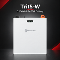 Batterie lithium murale 51,2 V 100 Ah, vente en gros, revendeurs de batteries solaires domestiques recherchés