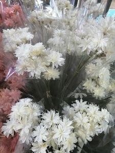 Flores Secas Hechas a Mano, Epiphyllum, Cereus Artificial <span class=keywords><strong>de</strong></span> Floración Nocturna para Arreglos Florales, Gran Venta 2024 - Product Image 6