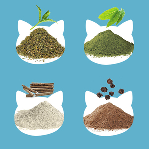 Fresh Breath Adjust Intestines the Aromatic and Long-Lasting Scent <b>Cat</b> Catnip - Product Image 4