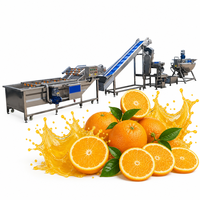 Hoog rendement fruit sapmachine complete set appel mango sinaasappel sap productielijn