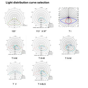 Sunle SLR06-110-100W AC 100-240V 알루미늄 합금 IP65 LED 도로 야외 가로등 130lm/w - Product Image 5