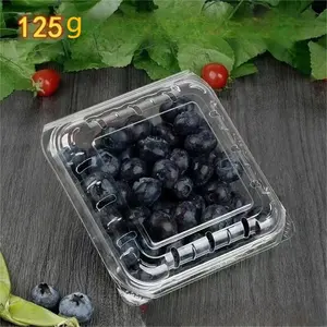 Factory Custom Food Grade Fruit Clamshell Containers PET Plastic Blueberry Boxes