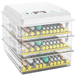Macchina automatica della schiusa dell'incubatrice dell'incubatrice delle uova di gallina di rotazione automatica azionata digitale Mini 200