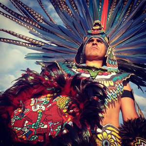 Plumas de <span class=keywords><strong>Gallo</strong></span> Pintadas en Oro Metálico de 40-45 cm al por Mayor para Diseño de Disfraces de Carnaval - Product Image 6