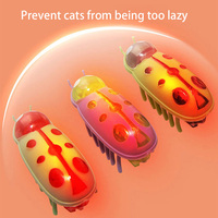 Jouets interactifs pour chats intelligents-Petit jouet électrique d'intérieur durable en plastique coccinelle ver