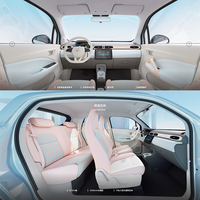 Comprar coches eléctricos baratos Leapmotor T03 2024 200 qinxiang 4 plazas coches usados de largo alcance 2023 2024 edición coches eléctricos para adultos