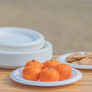 Plaques jetables biodégradables Canne à sucre Bagasse Pâte à papier Plaques de moule Approvisionnement en vrac - Product Image 6