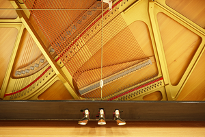 Nouveau modèle de clavier de piano en bois utilisé condition avec bon prix pour enfants professionnels en gros - Product Image 5