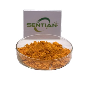 Extracto de raíz de cúrcuma 95% polvo de curcumina extracto de cúrcuma puro - Product Image 2