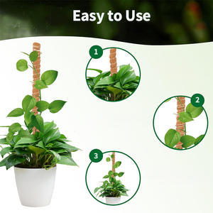 เสาโคโคนัทโคไอร์แบบโค้งงอได้ ขนาด 40 นิ้ว/100 ซม. 2 ชิ้น สำหรับควบคุมศัตรูพืช รองรับต้นไม้ อุปกรณ์ทำสวน ใยมะพร้าว คลังสินค้าในประเทศสหรัฐอเมริกา - Product Image 2