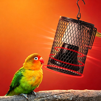 Lampe chauffante à spectre complet pour poussins, perroquets, serpents de compagnie, pour le maintien au chaud, sauna et lampe à vapeur