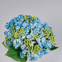 Bouquet d'hortensias artificiels en soie avec feuilles vertes pour la décoration florale de la maison, du vase ou de la table de mariage