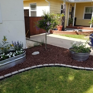 Nhựa vườn viền vườn PVC Băng làm vườn thẻ tiêu đề - Product Image 5