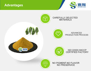 Bubuk ekstrak Kale kualitas tinggi harga grosir bubuk ekstrak Kale alami - Product Image 2