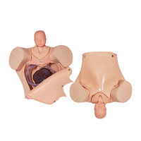 Housses de mannequin en PVC DARHMMY pour la formation avancée en accouchement multi-techniques, pour accouchement normal, accouchement anormal, extraction par ventouse, périnée