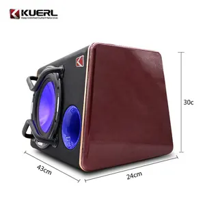 Wholesale 10 Inch Refit Car Audio Subwoofer 1200W Big Power Car Subwoofer With Box And Amplifier