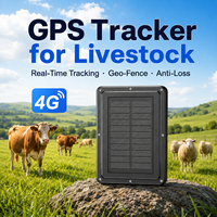 Rastreador GPS Beidou LBS 4G Celular Solar, Resistente al Agua IP67, Sin SIM, Mini Cápsula para Ovejas, Sistema de Rastreo Animal para Ganado