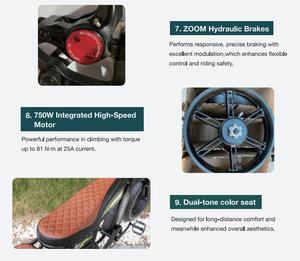 Bicicleta Eléctrica KOOLUX X9 PRO, Disponible en <span class=keywords><strong>Lituania</strong></span>, 48V 31.2Ah, Batería Doble, Motor sin Escobillas de 250W, Freno de Disco Hidráulico, CE EN15194 - Product Image 3