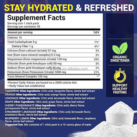 Sachets de mélange de boisson électrolytique naturelle à marque privée, amplificateur d'eau, multiplicateur d'hydratation pour la récupération sportive, la gym, la poudre Keto, OEM