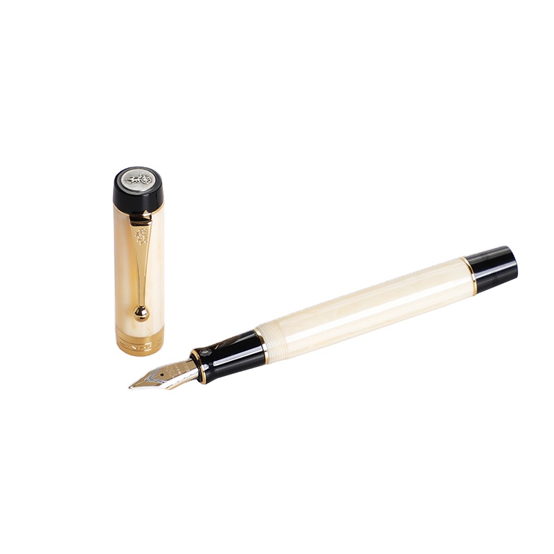 Jinhao 100センテニアル樹脂万年筆署名インクpen medium nib 0.6