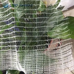شبكة مضادة للبرد رائدة في الصين ، شبكة حماية من البرد الأبيض ، شبكة HDPE أحادية الشعيرة ، مواد معاد تدويرها ، شبكة مضادة للطيور - Product Image 3