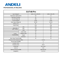 ANDELI CUT-60 PRO Machine de découpe plasma CNC 220V & 380V Écran LCD Coupeur plasma à contact à arc pilote non-HF
