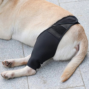 Pet Dog <b>Knee</b> <b>Brace</b> Rear Leg <b>Support</b> for Joint Pain Muscle Sore Elderly Disabled Injured Dogs Leg Bracer for Mobility Aid - Product Image 4