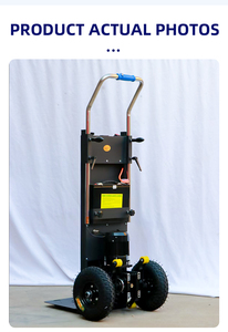 Carrito de Compras con Estructura de Hierro para Subir Escaleras, con Personalización OEM, Modelo CL-PL-01 - Product Image 3