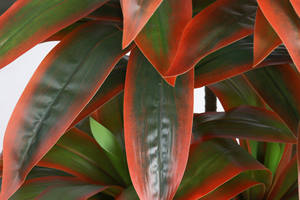 <span class=keywords><strong>Arbre</strong></span> artificiel en bois <span class=keywords><strong>rouge</strong></span> brésilien, écologique, durable, de haute qualité, résistant aux UV, pour la décoration intérieure moderne de la maison et du bureau - Product Image 6