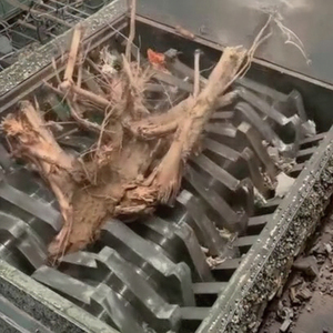 <span class=keywords><strong>Broyeur</strong></span> de <span class=keywords><strong>bois</strong></span>, machine à couper les branches d'arbres, <span class=keywords><strong>broyeur</strong></span> de <span class=keywords><strong>bois</strong></span> pour déchets de contreplaqué, blocs de <span class=keywords><strong>bois</strong></span>, <span class=keywords><strong>palettes</strong></span>, <span class=keywords><strong>broyeur</strong></span> de <span class=keywords><strong>bois</strong></span> d'<span class=keywords><strong>occasion</strong></span> à vendre - Product Image 2