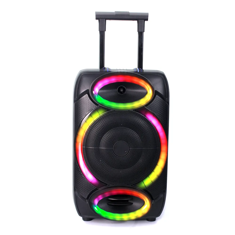 Altoparlante portatile fabbrica doppio 12 pollici altoparlanti esterni grande potenza Karaoke sistema attivo Wireless portatile Trolley per feste Audio