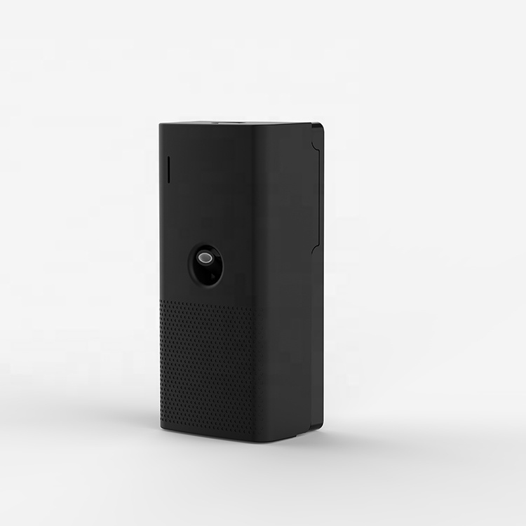 Noir