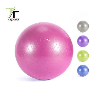 ECO-friendly Anti Burst Heavy Duty Stability Fitness Exercise Yoga Gym Ball Fitness Ball